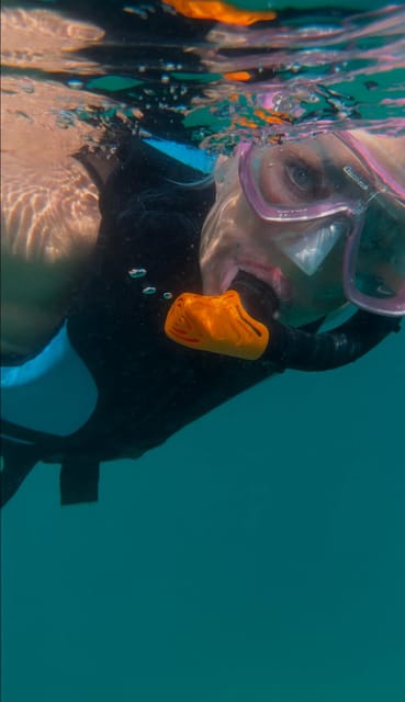 Muscat: Dolphin Watching and Snorkeling Boat Trip