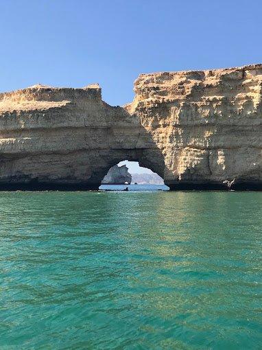 Muscat: Dolphin Watching Boat Trip with Local Guide