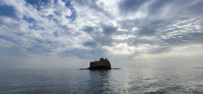 Muscat: Dolphin Watching Boat Trip with Local Guide