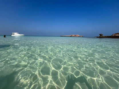 Muscat: Dolphin Watching Boat Trip with Local Guide
