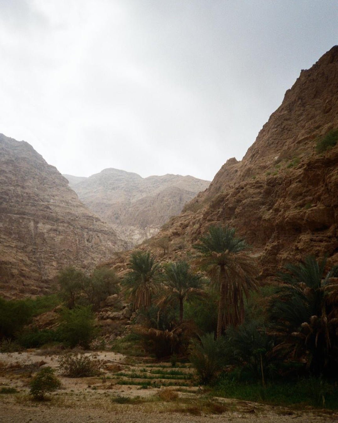 Muscat: Full - Day Tour of City Landmarks, Wadi Shab, and Bimmah Sinkhole