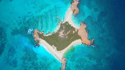 Muscat: Half - Day Daymaniyat Islands Dolphin Watching and Snorkeling Trip