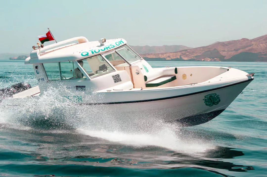 Muscat: Half - Day Daymaniyat Islands Dolphin Watching and Snorkeling Trip