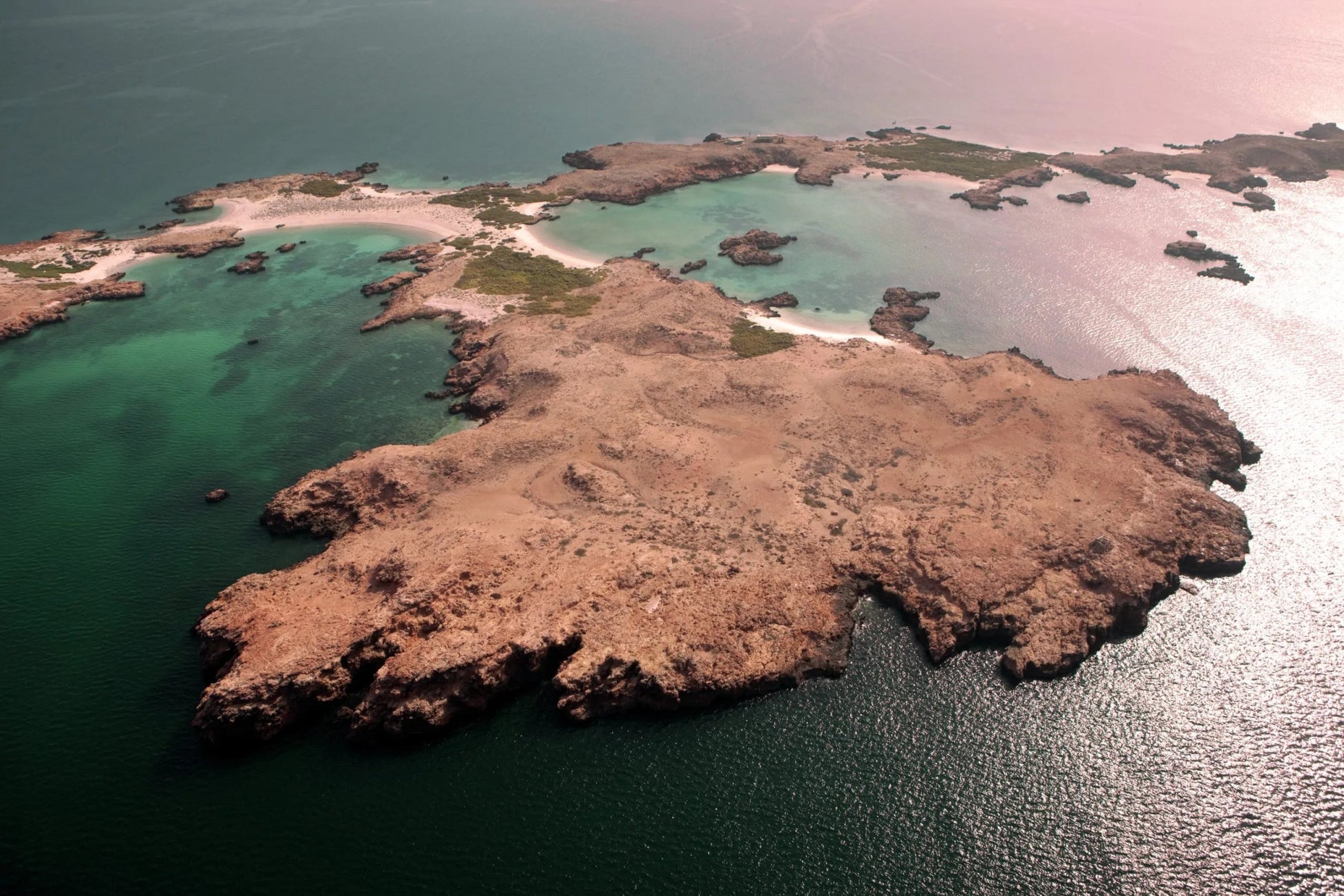 Muscat: Half - Day Daymaniyat Islands Dolphin Watching and Snorkeling Trip