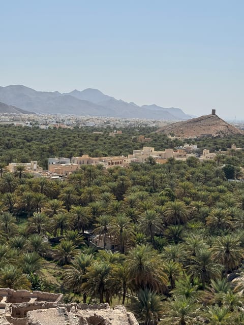 Muscat: Nizwa and Jebel Akhdar Day Trip with Optional Overnight Stay