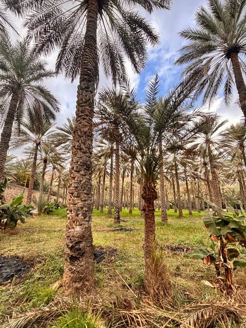Muscat: Nizwa and Jebel Akhdar Day Trip with Optional Overnight Stay