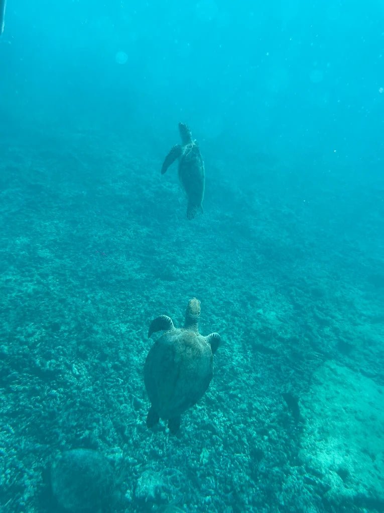 Muscat: Private Daymaniyat Islands Boat Tour with Snorkeling