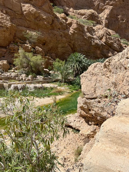 Muscat: Private Wadi Shab Hike & Bimmah Sinkhole Tour with Lunch