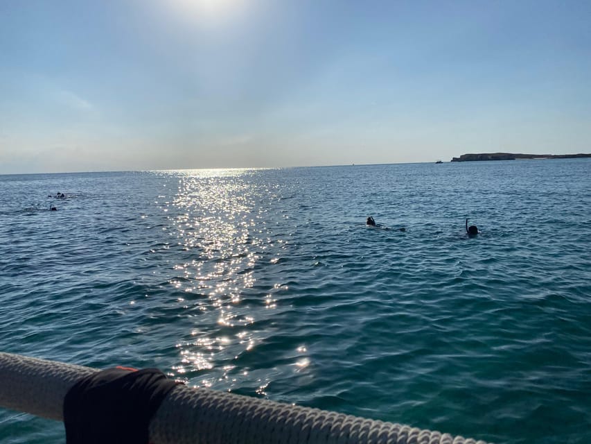 Muscat: Snorkeling Trip to Daymaniyat Islands