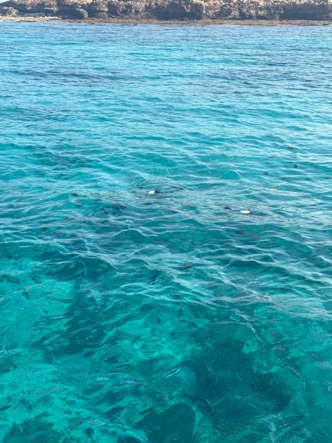 Muscat: Snorkeling Trip to Daymaniyat Islands