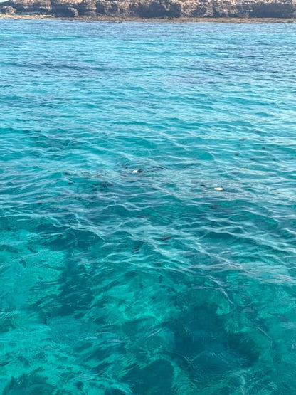 Muscat: Snorkeling Trip to Daymaniyat Islands