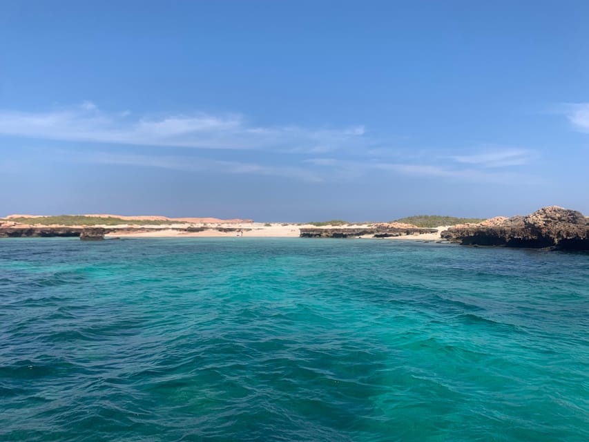 Muscat: Snorkeling Trip to Daymaniyat Islands
