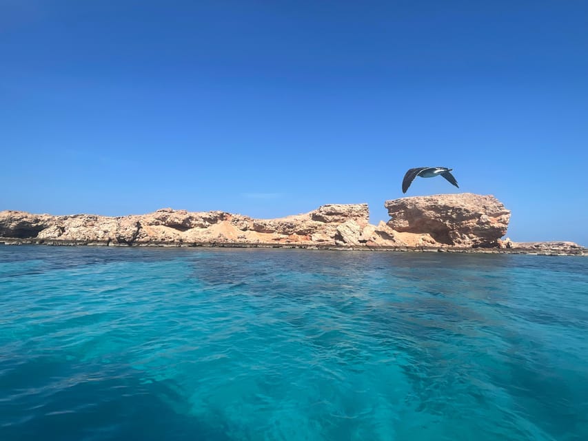 Muscat: Snorkeling Trip to Daymaniyat Islands