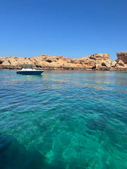Muscat: Snorkeling Trip to Daymaniyat Islands