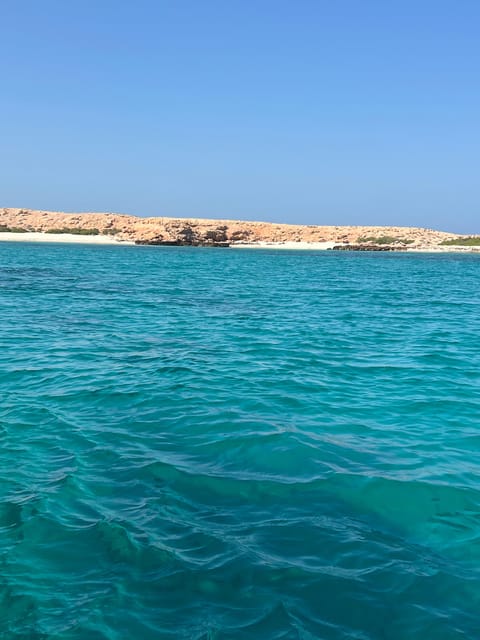 Muscat: Snorkeling Trip to Daymaniyat Islands