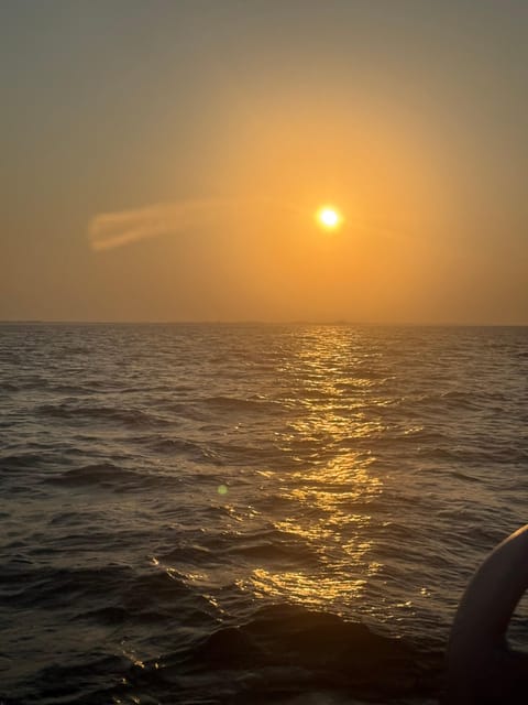 Muscat: Snorkeling Trip to Daymaniyat Islands