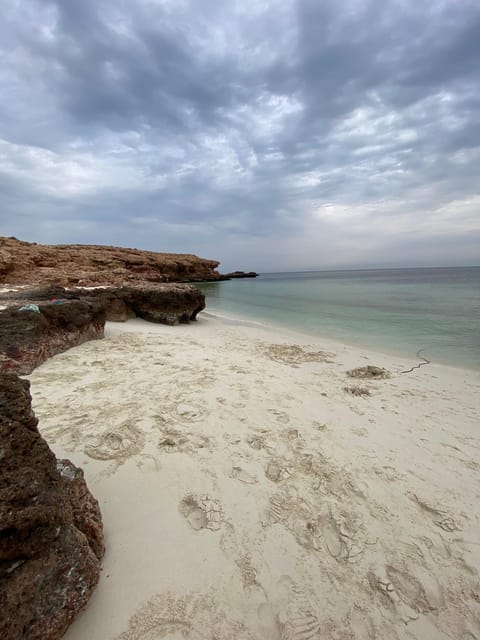 Muscat: Snorkeling Trip to Daymaniyat Islands