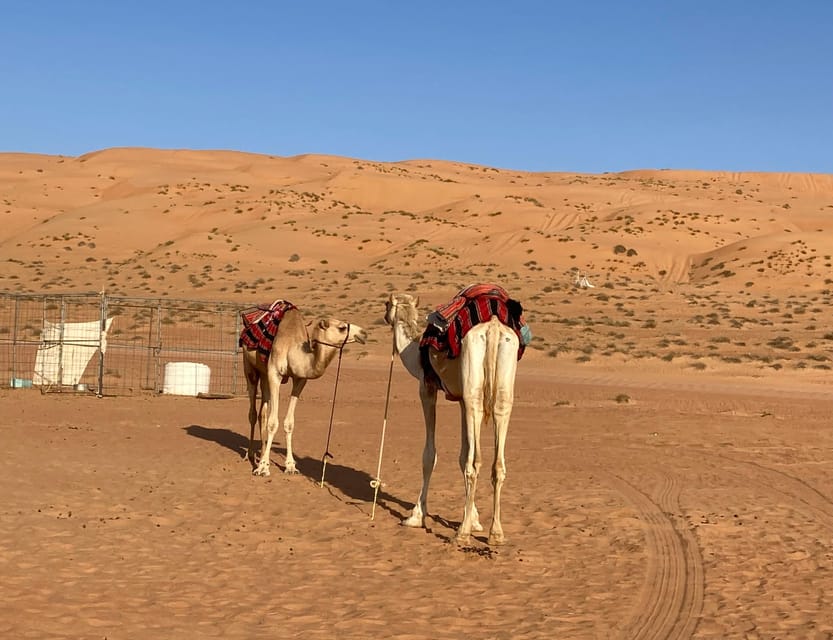 Muscat: Wadi Bani Khalid Oasis and Wahiba Sands Desert Tour