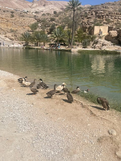 Muscat: Wadi Bani Khalid Oasis and Wahiba Sands Desert Tour