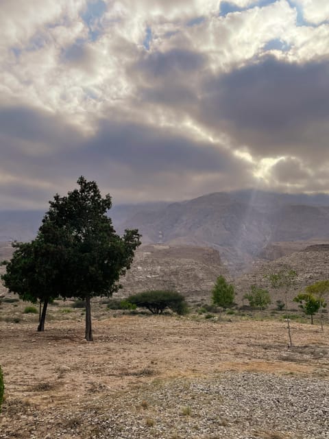 Muscat: Wadi Shab and Bimmah Sinkhole Full - Day Tour