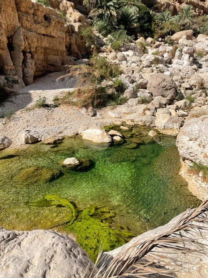 Muscat: Wadi Shab and Bimmah Sinkhole Full - Day Tour