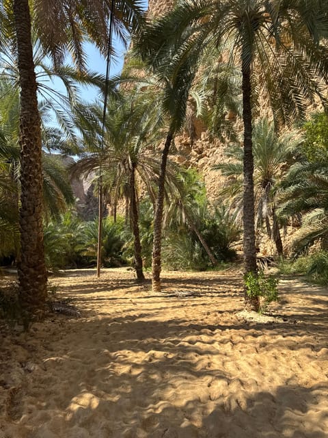 Muscat: Wadi Shab and Bimmah Sinkhole Full - Day Tour