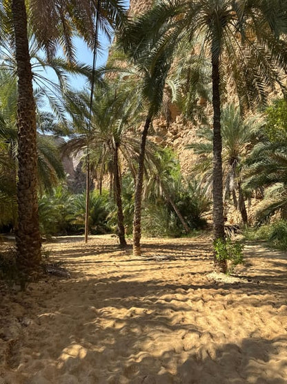 Muscat: Wadi Shab and Bimmah Sinkhole Full - Day Tour