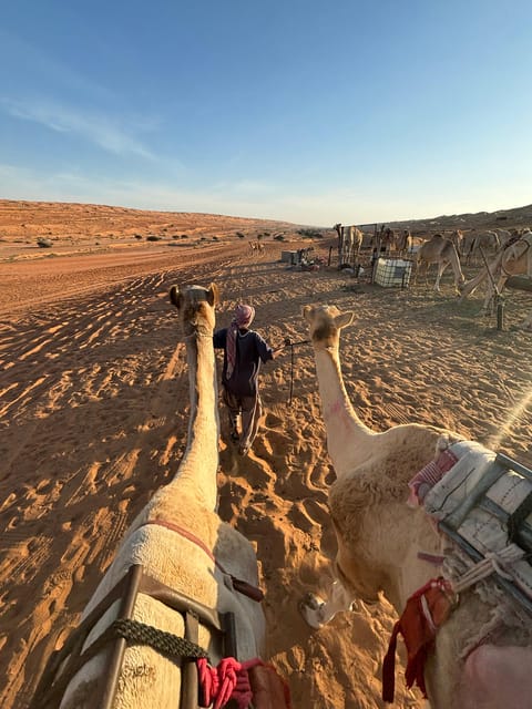 Muscat: Wahiba Sands Sunset Tour with Dinner and Optional Zoo Visit