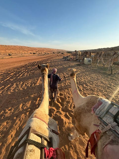 Muscat: Wahiba Sands Sunset Tour with Dinner and Optional Zoo Visit