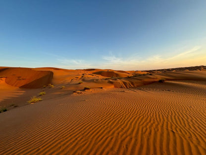 Muscat: Wahiba Sands Sunset Tour with Dinner and Optional Zoo Visit