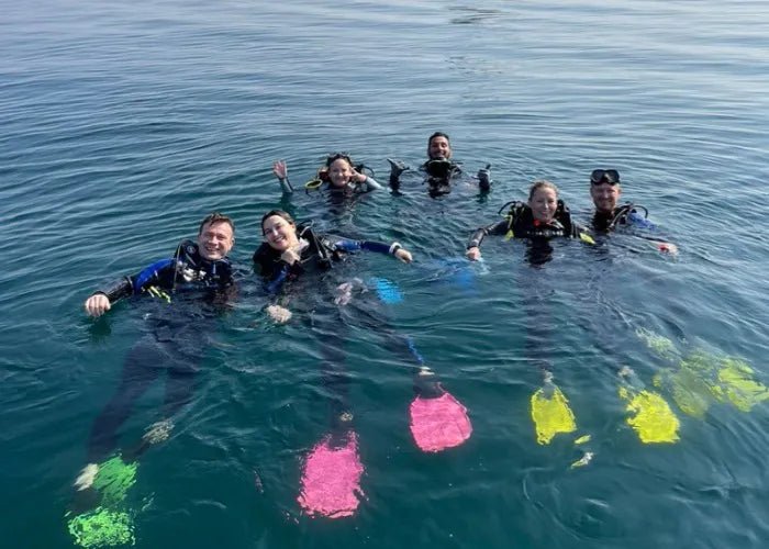 Aus Dubai: Tauchen und Schnorcheln in Fujairah