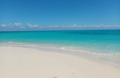 Zanzibar: Stone Town Coastal Cruise and Snorkeling Trip