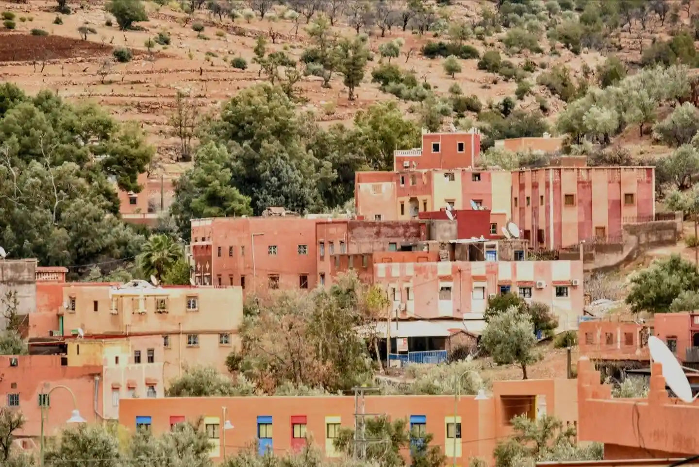 From Marrakech: Ouzoud Waterfalls Private Day Trip