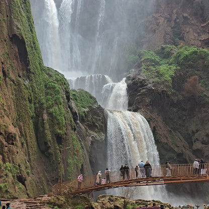 From Marrakech: Ouzoud Waterfalls Private Day Trip