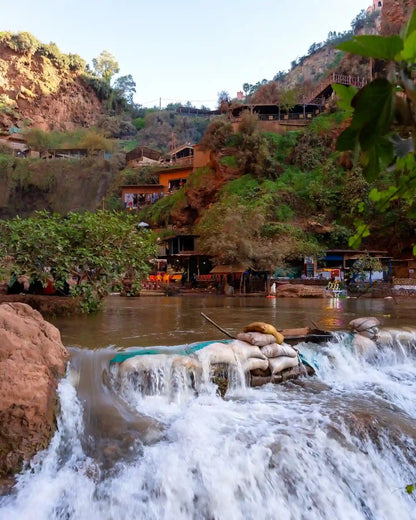 From Marrakech: Ouzoud Waterfalls Private Day Trip