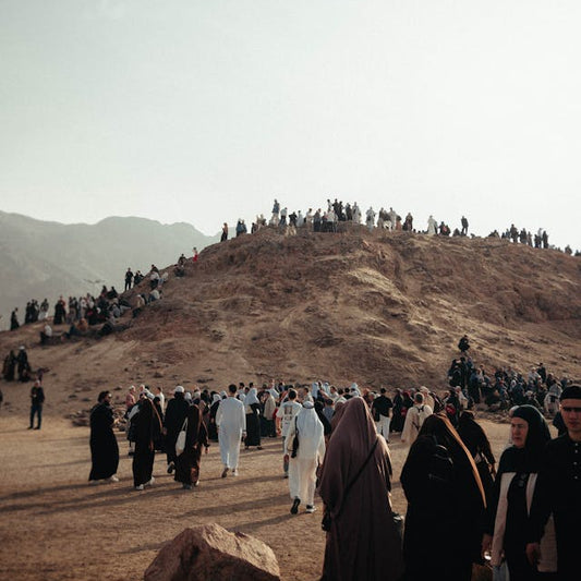 Madinah: Islamic Heritage Tour of Uhud and the Seven Mosques