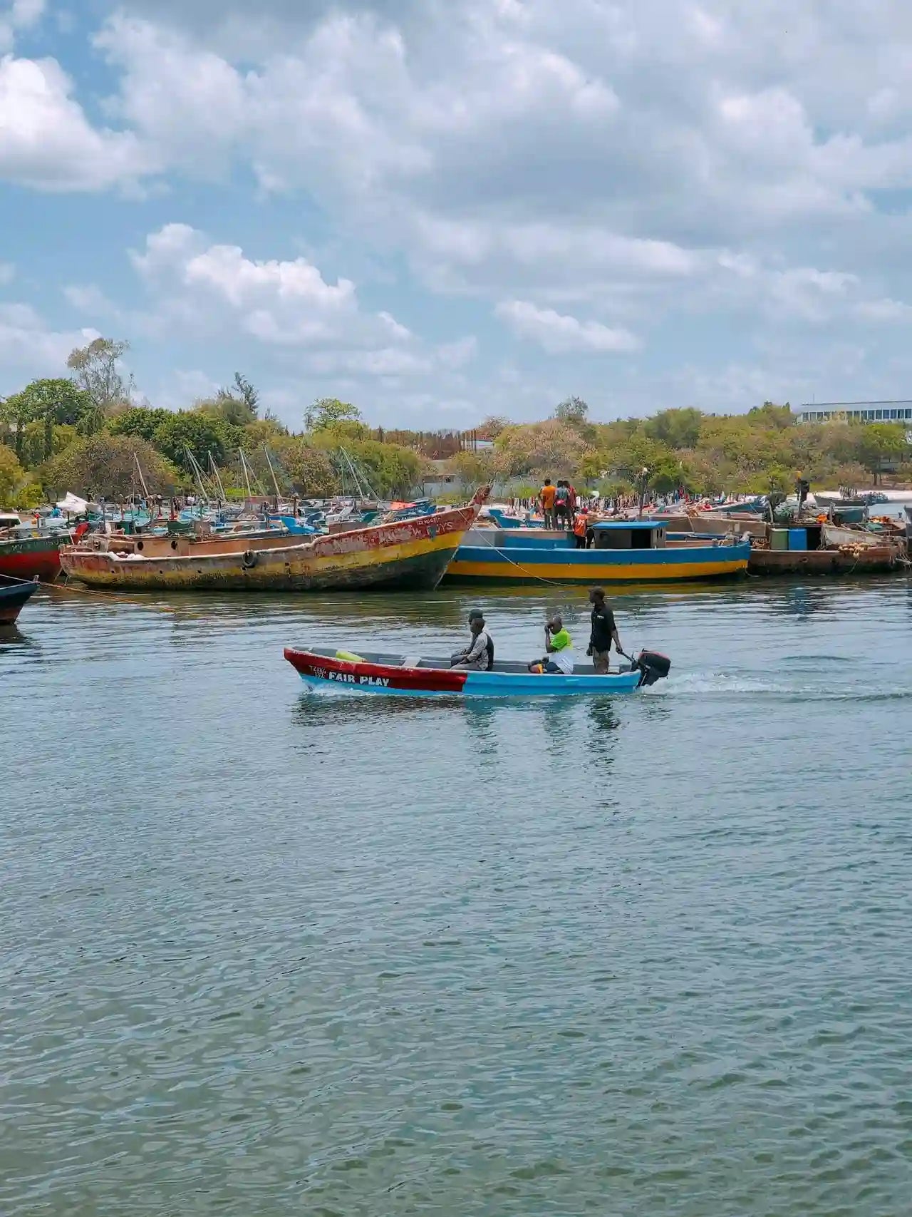 Dar es Salaam: Privat stadsrundtur i heldag med lunch