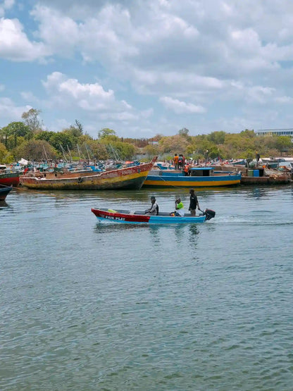 Dar es Salaam: Privat stadsrundtur i heldag med lunch