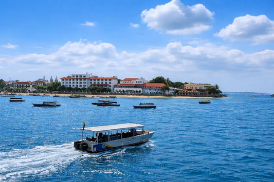 Занзибар: Круиз по побережью Стоун-Тауна и сноркелинг тур