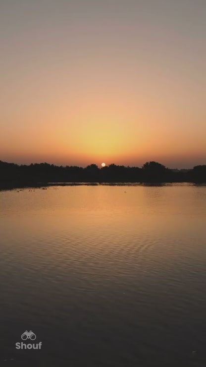 Doha : expérience de kayak dans les mangroves sur l'île violette d'Al Khor