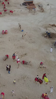 Doha : Safari privé dans le désert en 4x4 d'une demi-journée, balade à dos de chameau et à cheval arabe