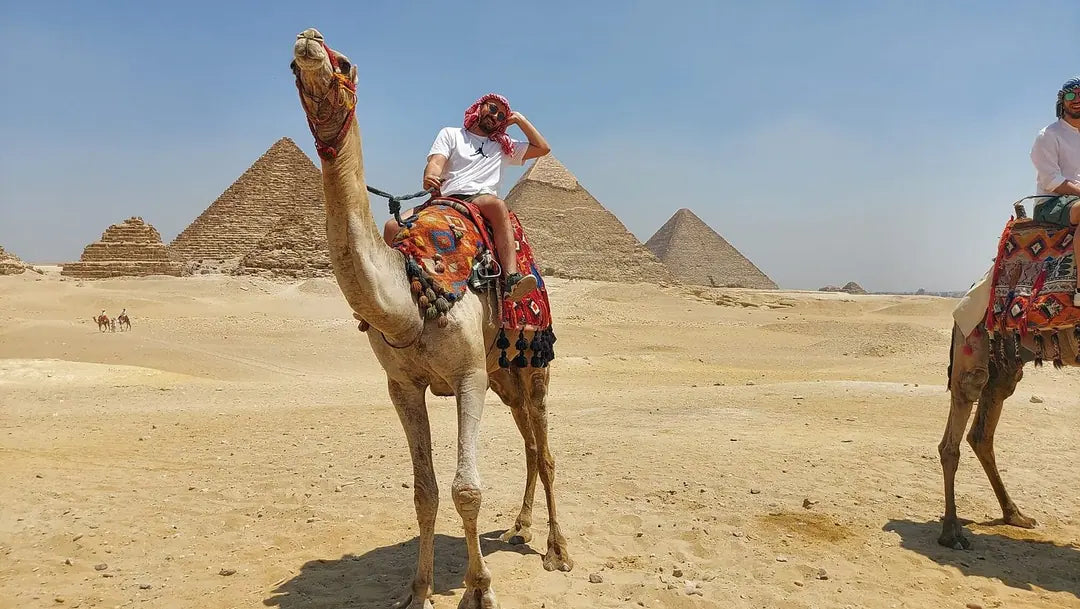 Il Cairo: Tour Guidato Privato di un Giorno delle Piramidi di Giza, Piramide a Gradoni di Saqqara e Menfi
