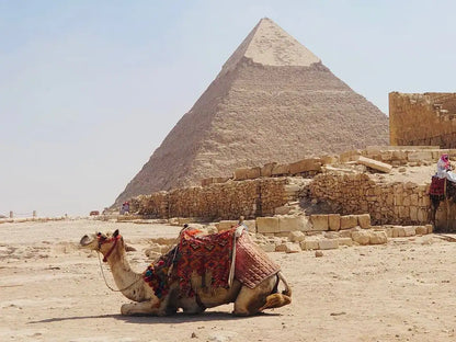 Il Cairo: Tour Guidato Privato di un Giorno delle Piramidi di Giza, Piramide a Gradoni di Saqqara e Menfi