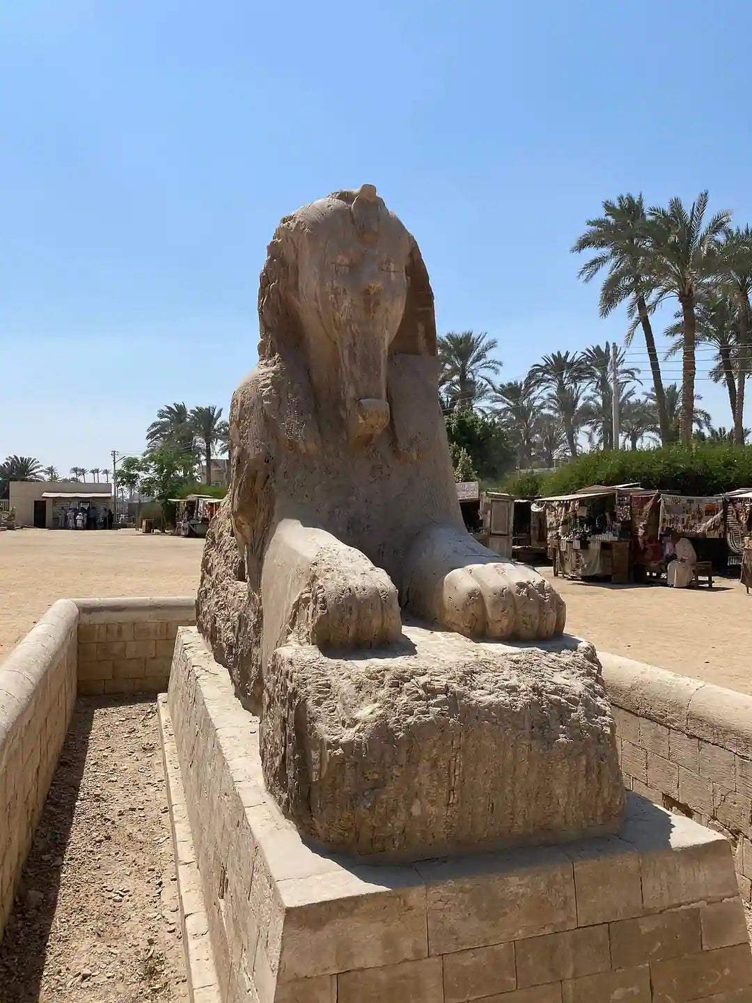 Il Cairo: Tour Guidato Privato di un Giorno delle Piramidi di Giza, Piramide a Gradoni di Saqqara e Menfi