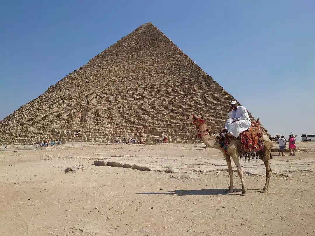 Il Cairo: Tour Guidato Privato di un Giorno delle Piramidi di Giza, Piramide a Gradoni di Saqqara e Menfi