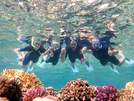 Sharm El Sheikh: Passeio de um dia de snorkel To Ras Mohamed e White Island de barco, com mergulho opcional