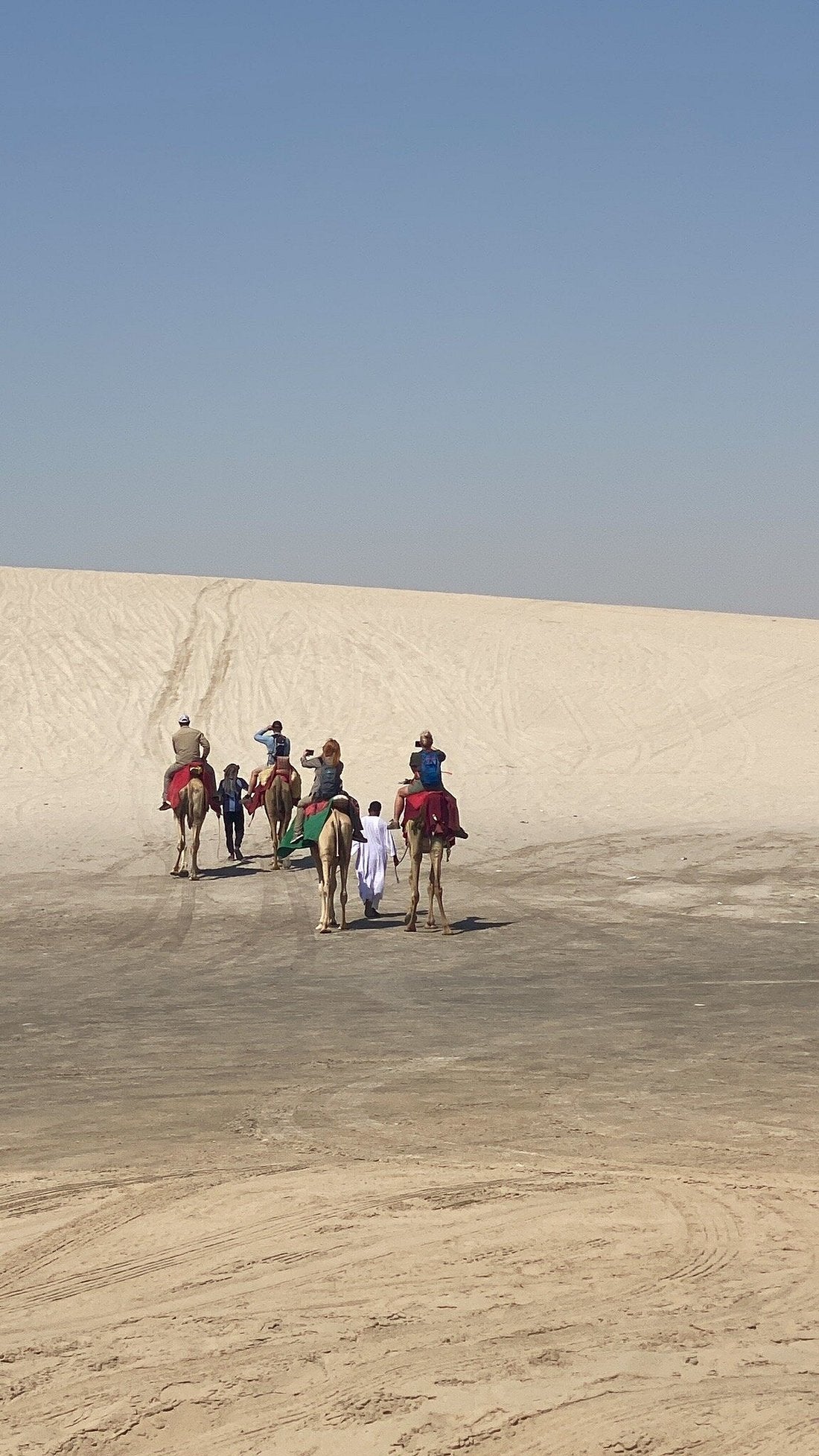 Doha: Gemeinsame oder private Wüstensafari mit Dünen-Bashing und Sandboarding