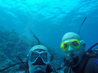 赫尔格达：红海潜水之旅（适合初学者和持证潜水员）