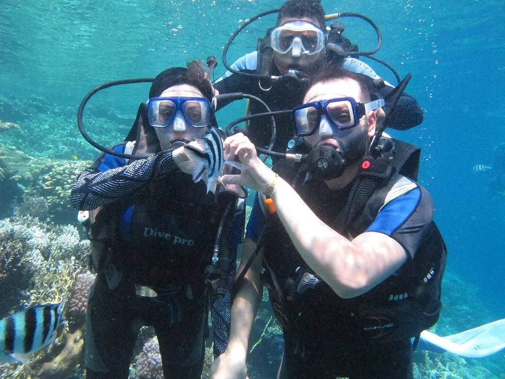 赫尔格达：红海潜水之旅（适合初学者和持证潜水员）