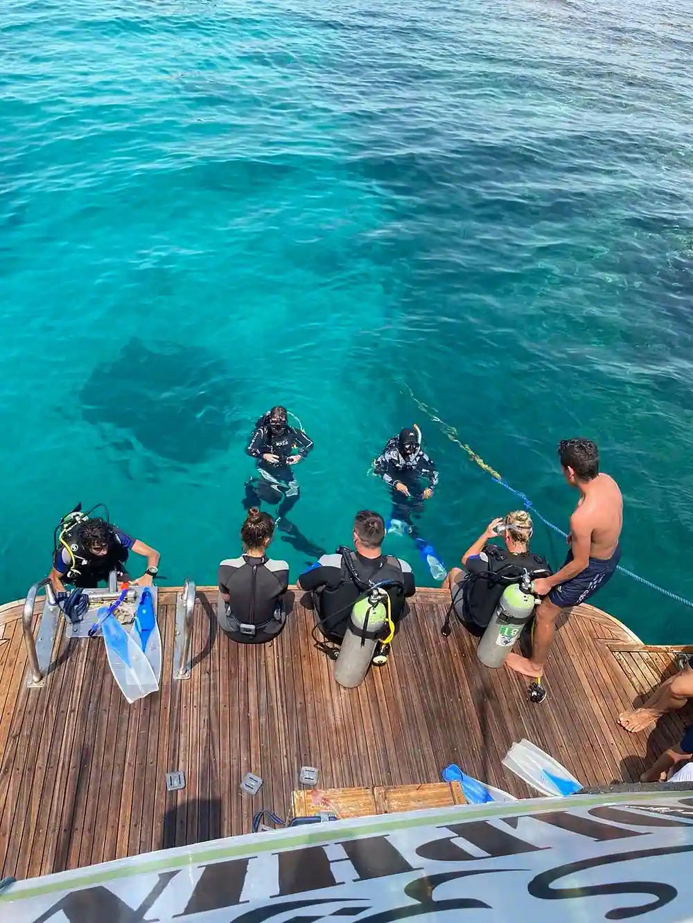 赫尔格达：红海潜水之旅（适合初学者和持证潜水员）